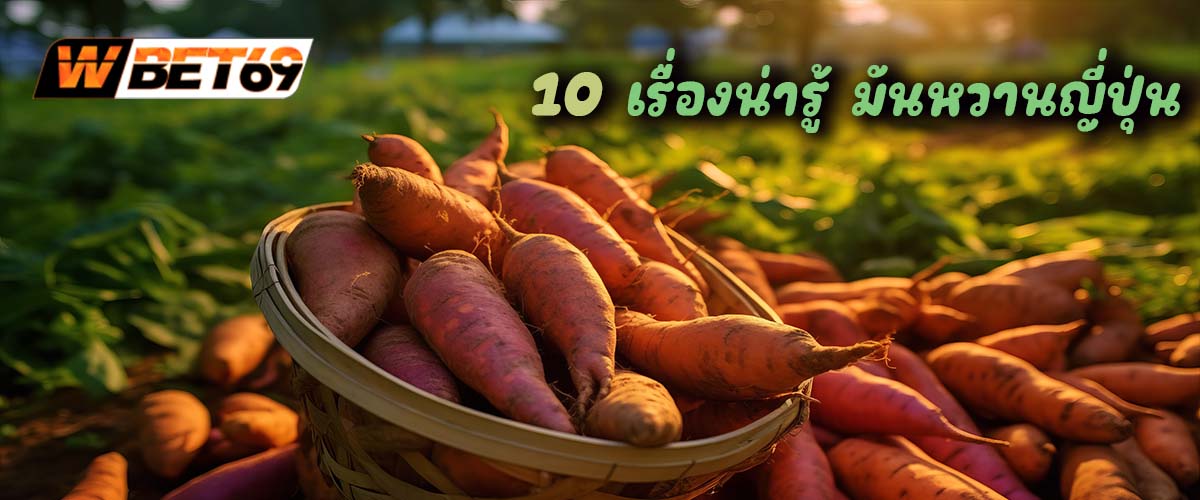 10 เรื่องน่ารู้ มันหวานญี่ปุ่น Sweet Potato