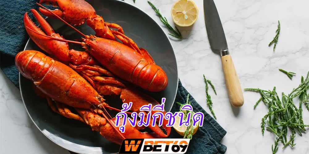 กุ้งมีกี่ชนิด มาทำความรู้จักกุ้งจากทั่วโลก พร้อมเกร็ดความรู้อื่นๆ